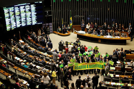 Lower house members who support the impeachment demonstrate during a session to review the request for Brazilian President Dilma Rousseff's impeachment, at the Chamber of Deputies in Brasilia, Brazil April 15, 2016. REUTERS/Ueslei Marcelino