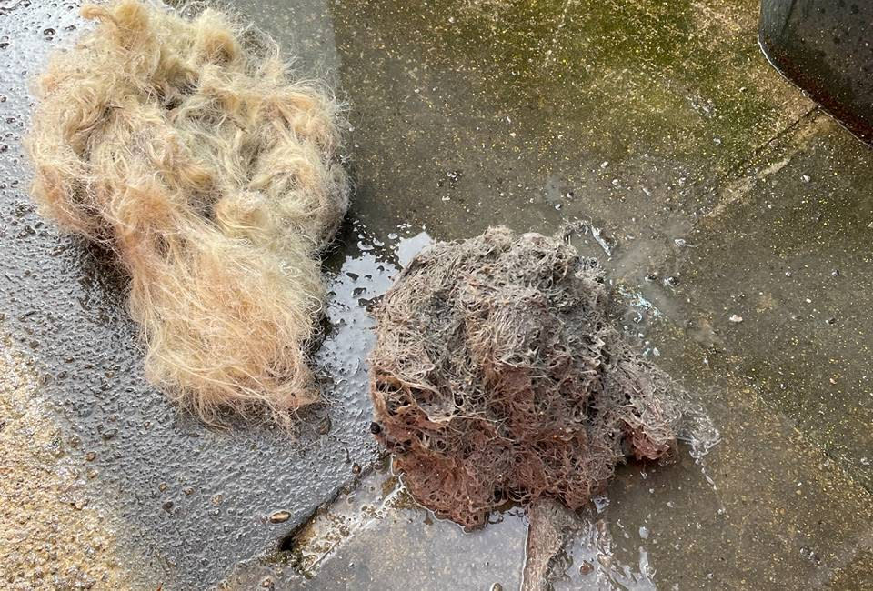 Pair of wigs recovered from a sewer pipe in Bradford. (SWNS)