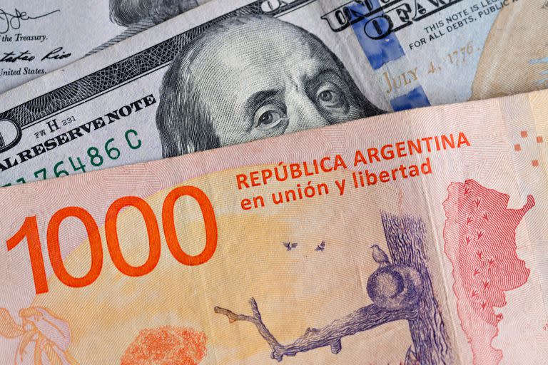 Banknotes of one thousand Argentine pesos and bills of 100 US Dollars.