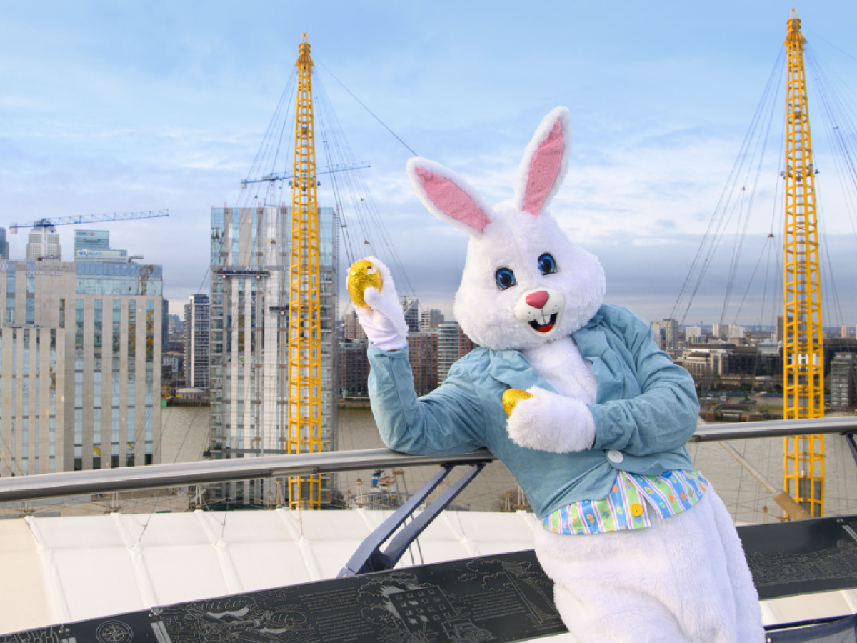 Egg decorating in the sky promises to be a thrilling activity (O2)