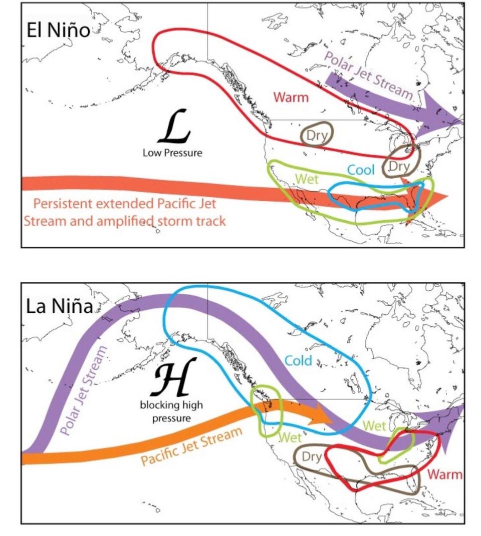 These graphics show the different outcomes caused by the El Nino and La Nina weather patterns.