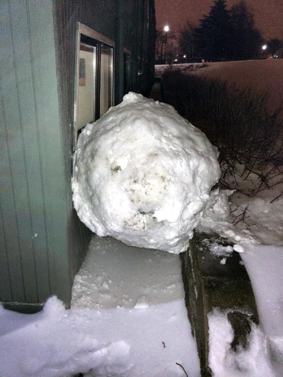 This Feb. 8, 2014 image provided by Reed College shows a large snowball that crashed into a Grove Quad dormitory at Reed College in Portland, Ore. The crash ripped a wall off its studs and narrowly missed a window. No one was injured in the collision. College officials say the ball was some 40 inches in diameter and weighed from 800 to 900 pounds.(AP Photo/Reed Magazine)