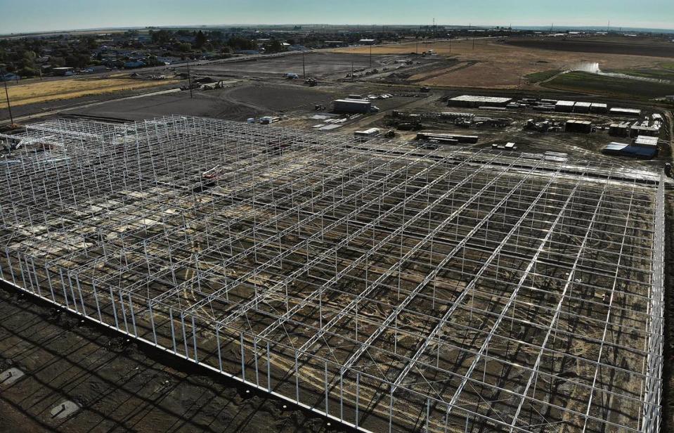 Work is underway on the 3-acre greenhouse and packaging facility for Local Bounti on a parcel just south of A Street between Elm Street and Oregon Avenue in Pasco.