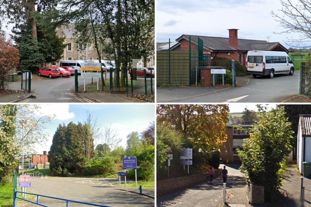 Clockwise: Aylestone School, Brookfield School, Wigmore School and Ashfield Park primary <i>(Image: Google Street View)</i>