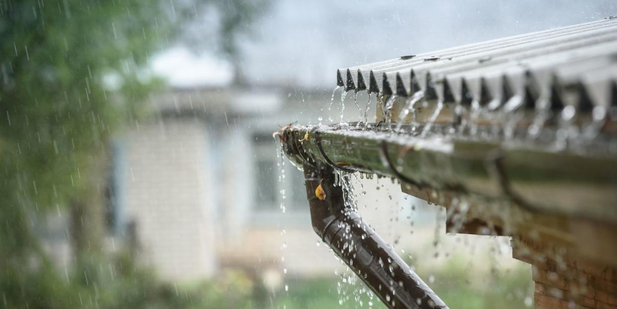 rainwater harvesting is pinterest's big trend for 2023