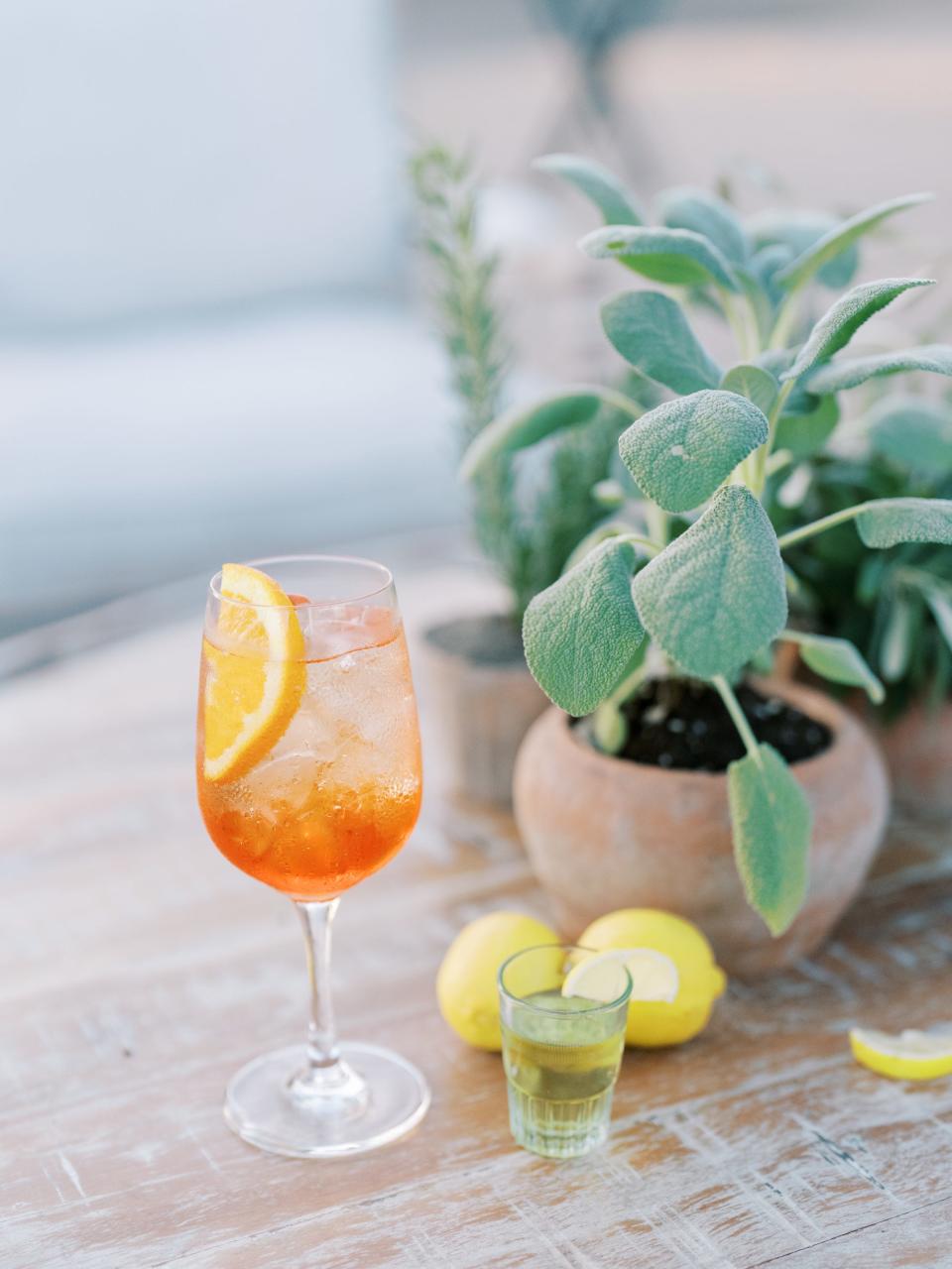 Two drinks sit on a table next to a plant.