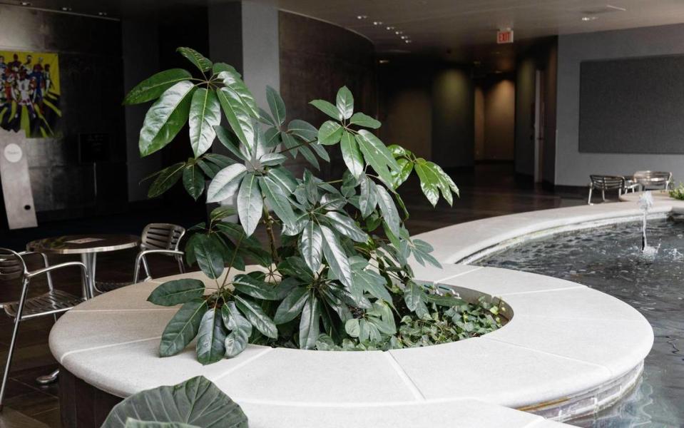 The Potting Shed maintains interior plants and gardens, such as this atrium inside the AT&T call center.