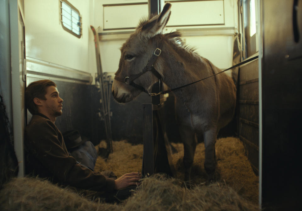 En esta imagen proporcionada por Sideshow y Janus Films, Lorenzo Zurzolo en una escena de "EO". (Sideshow and Janus Films vía AP)