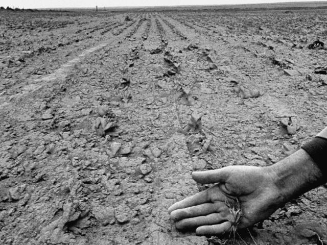 What The Dustbowl Of The 1930s Can Teach Us About The Origins Of A Looming  Megadrought