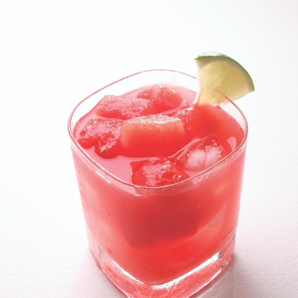 Watermelon Gin Fizz