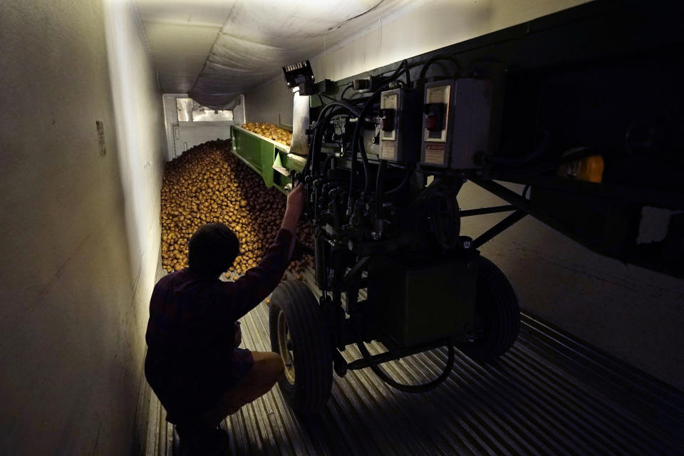 In a March 11, 2021 photo, potatoes are loaded into a tractor trailer at the Sackett Potato farm in Mecosta, Mich. For generations, Brian Sackett's family has farmed potatoes that are made into chips. About 25% of the nation's potato chips get their start in Michigan, which historically has had reliably cool air during September harvest and late spring but now is getting warmer temperatures. (AP Photo/Carlos Osorio)