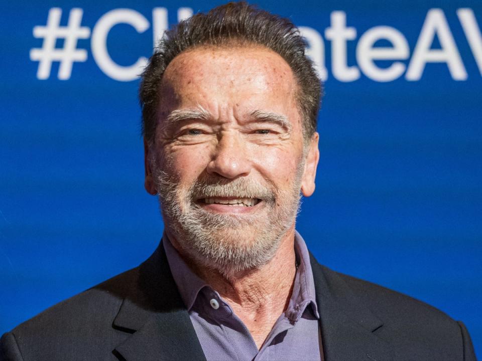 Arnold Schwarzenegger poses during the event ‘Special Dinner for Climate Action’ in January 2024 (APA/EXPA/AFP/Getty)