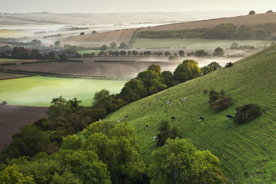 Marleycombe Hill, Wiltshire: Ken Leslie's highly commended image in the Classic View section captures the early morning mist as the dawn sun reaches into the valley. (Ken Leslie, Landscape Photographer of the Year)