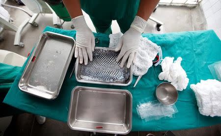 A medical volunteer prepares sterilised tilapia fish skin to be applied to patients with burnt skin at Dr. Jose Frota Institute in the northeastern costal city of Fortaleza, Brazil, April 18, 2017. REUTERS/Paulo Whitaker