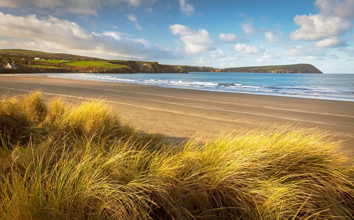 Newport Sands lies at the mouth of the River Nevern (Getty Images)