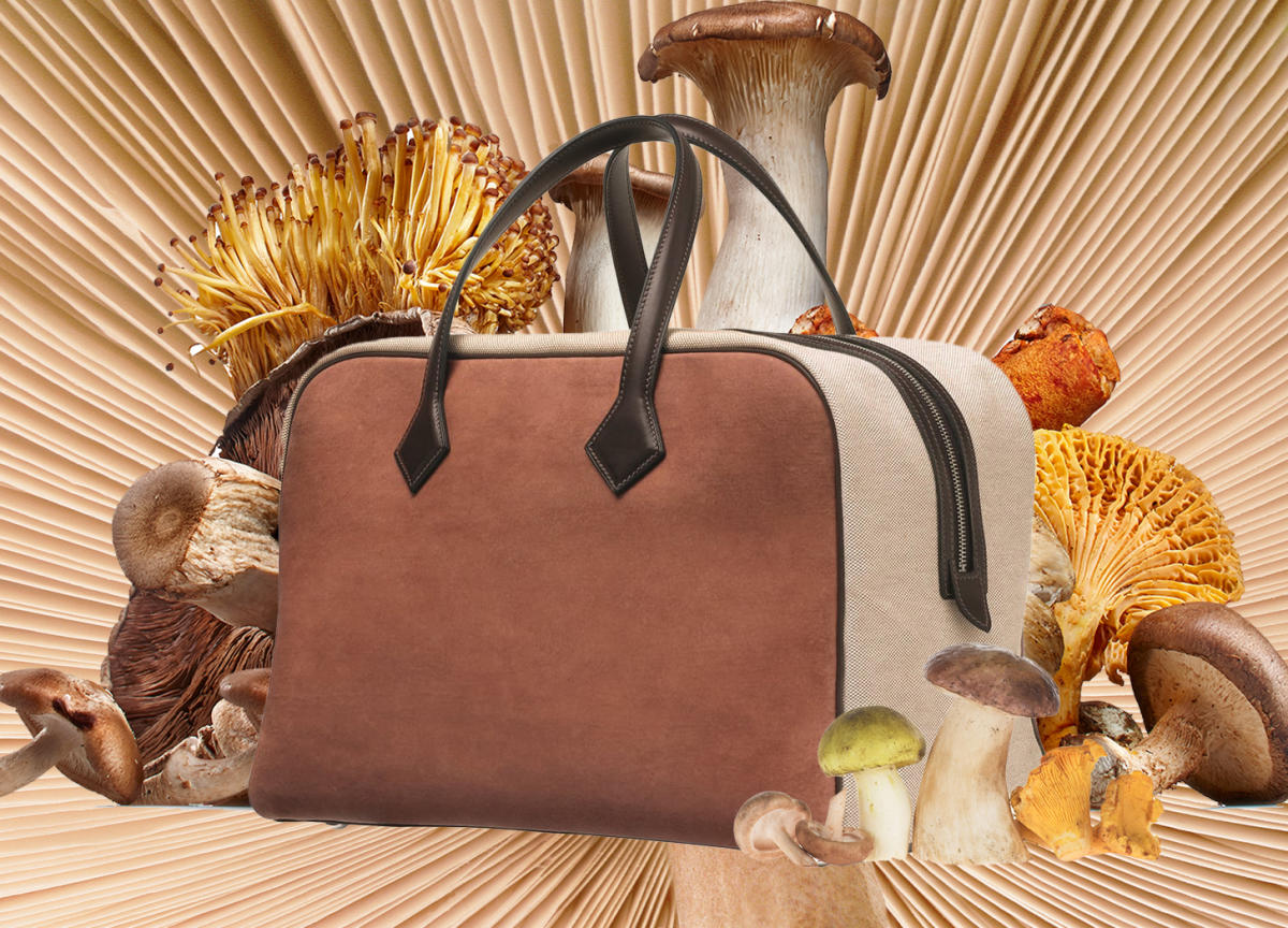 This Mushroom Leather Is Being Made into Hermès Handbags - Scientific  American