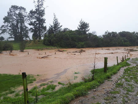 A flooded farm is seen in Bainham, New Zealand February 20, 2018 in this picture obtained from social media. Facebook/Billy Haldane/via REUTERS