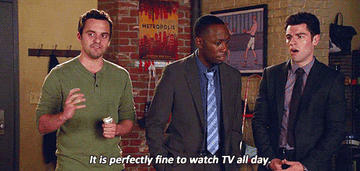 Nick Miller in "New Girl" saying "It is perfectly fine to watch TV all day"