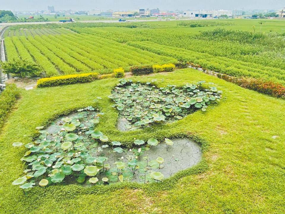 彰化縣大村鄉平和社區的雙心池塘，號稱是全台三大戀人朝聖地之一。（孫英哲攝）