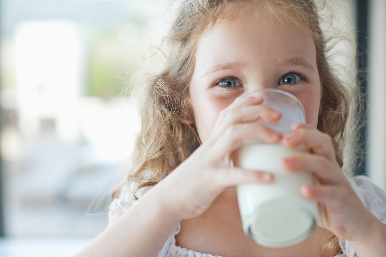 Drinking milk made ancient humans bigger and bulkier, researchers believe. (Getty Images)