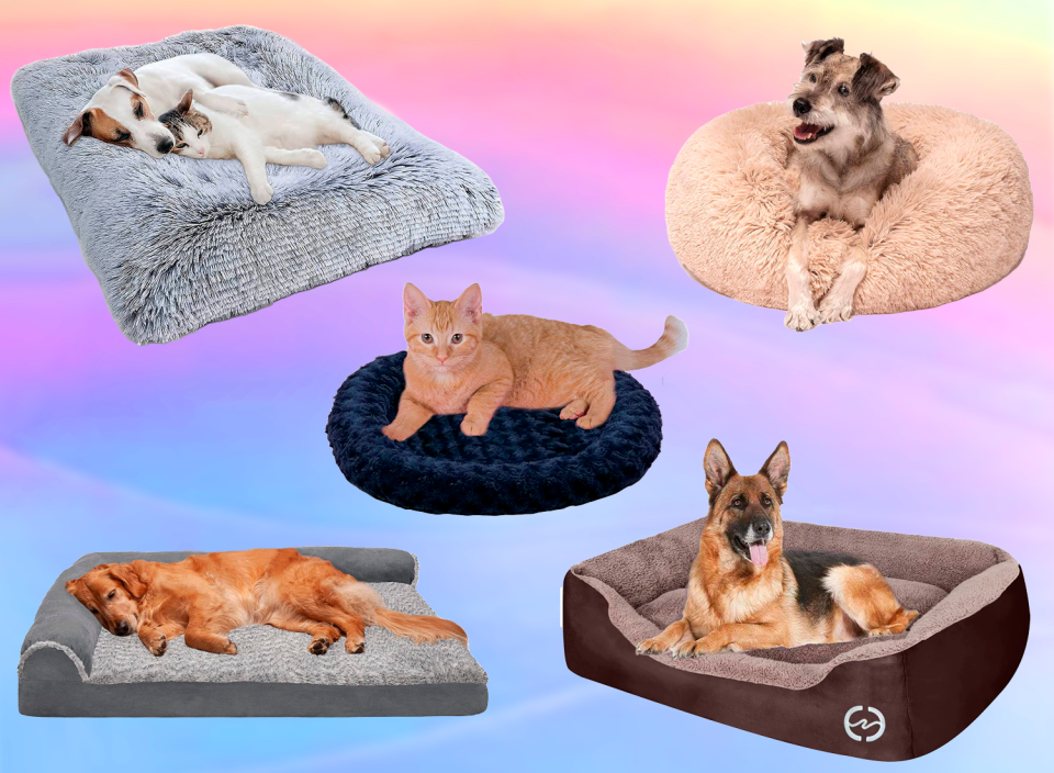 Keep your pets cozy with these top-notch beds! (Source: Amazon, Unsplash)