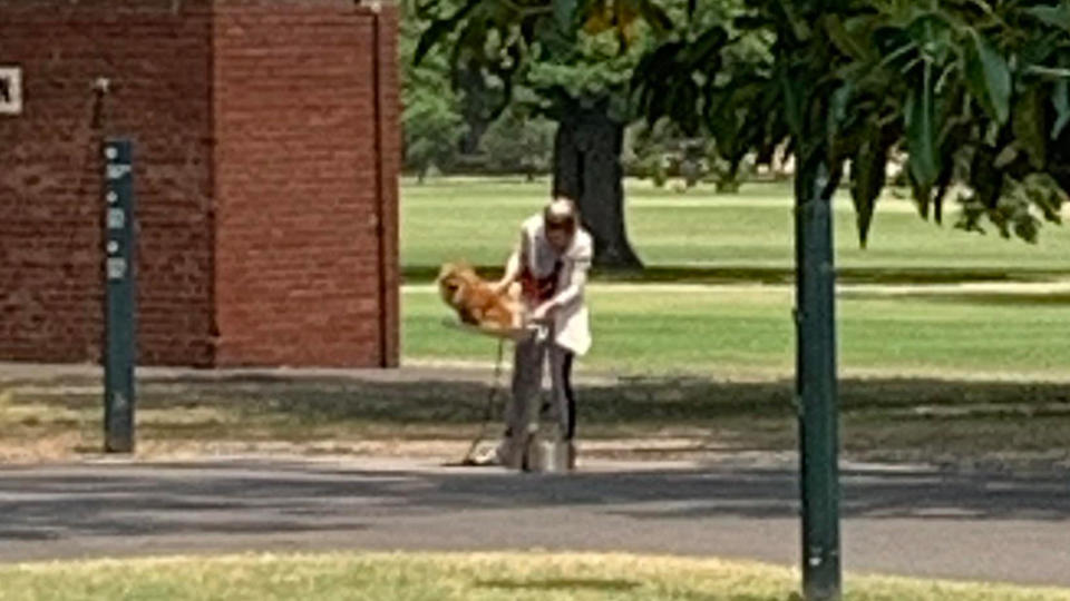 A woman was blasted on Reddit for appearing to clean her dog's behind in a water fountain at a Melbourne park.