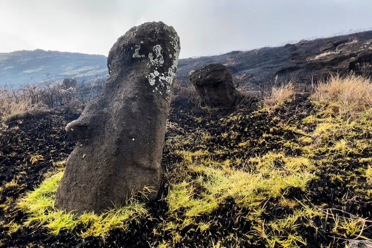 One of the moai surrounded by the charred landscape (Rapanui Municipality/AFP via Get)