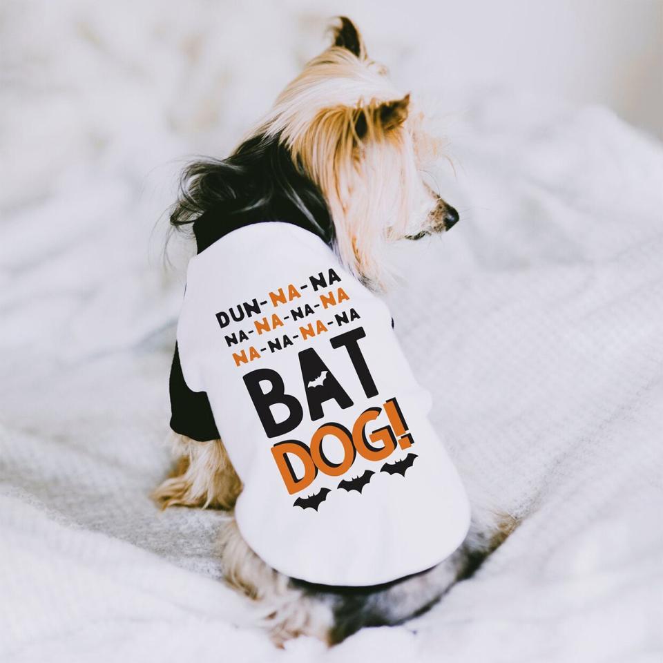 Dog wearing a Bat Dog Halloween Dog Shirt sitting on a bed