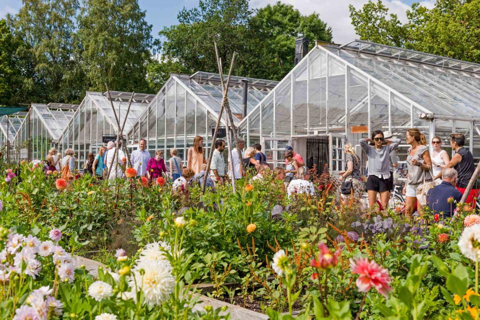 <p>Gregor Lengler/laif/Redux</p> Rosendals Trädgård, an urban farm that grows produce and composts waste for several Stockholm restaurants.