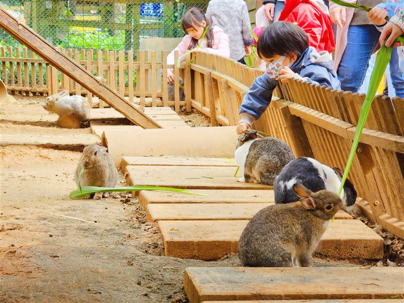 即日起至2024年1月1日，全票/學生票平日只要200元、例假日250元。（圖／埔心牧場提供）