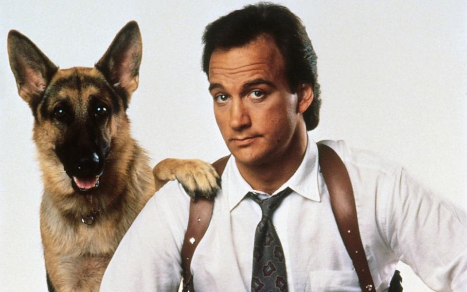 Ebenfalls 1989 kam dieser Polizeihund ins Kino: Jerry Lee in "Mein Partner mit der kalten Schnauze" wird dem Polizisten Thomas Dooley (James Belushi) zum beinahe ebenbürtigen Kollegen. (Bild: Universal)