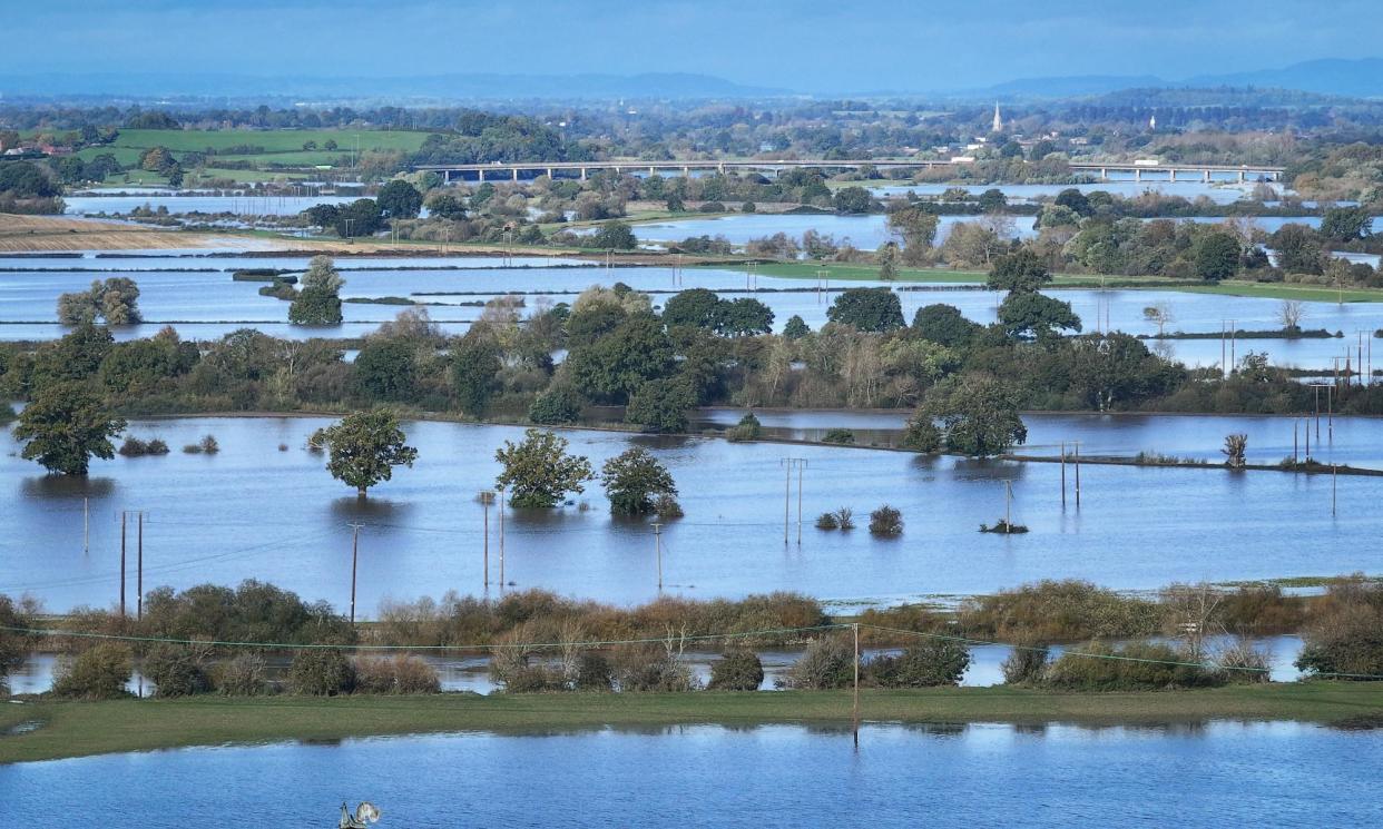 <span>Many farmers had to plant fewer crops or no crops at all due to fields being flooded.</span><span>Photograph: Christopher Furlong/Getty Images</span>