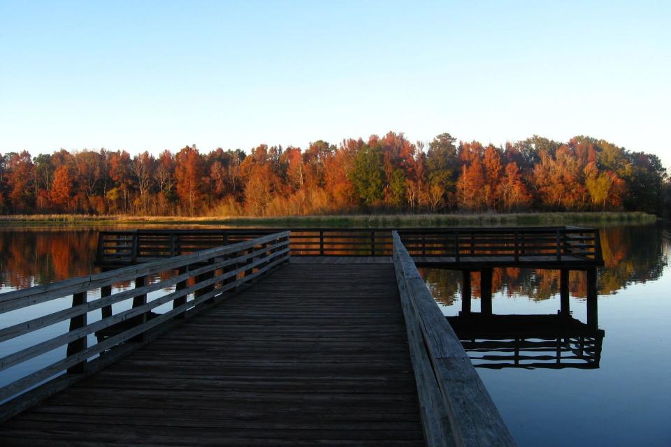 Florida: Three Rivers State Park