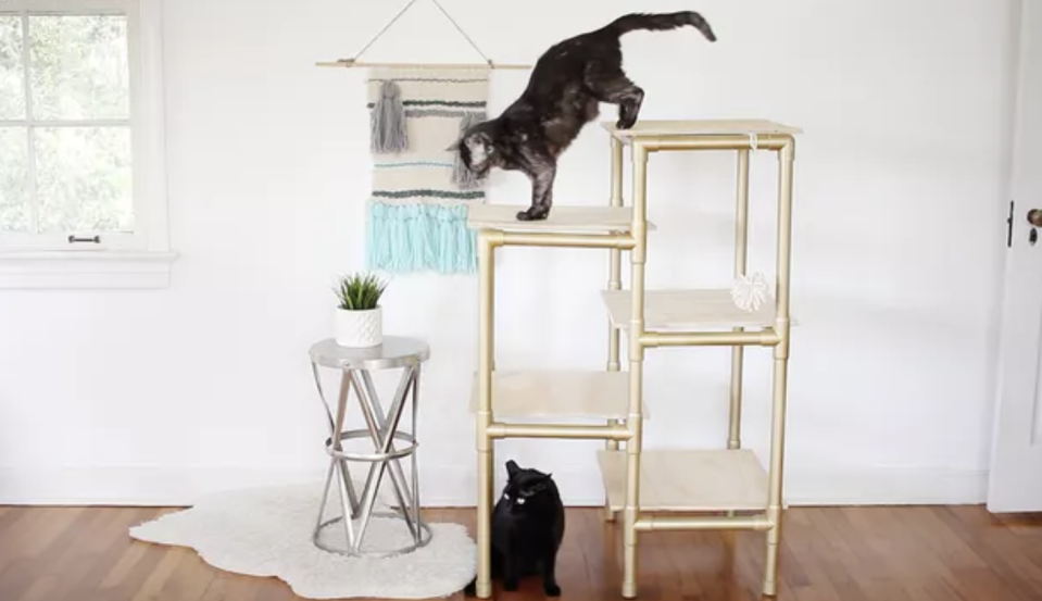 modern cat tree