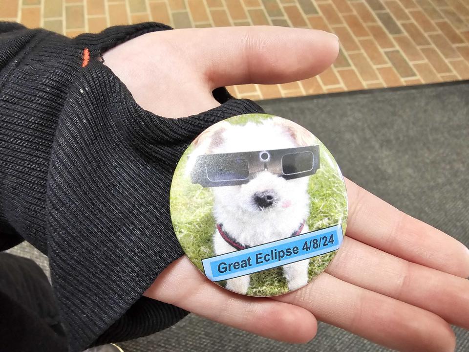 Dated Souvenir, A Dog Wearing Sunglasses