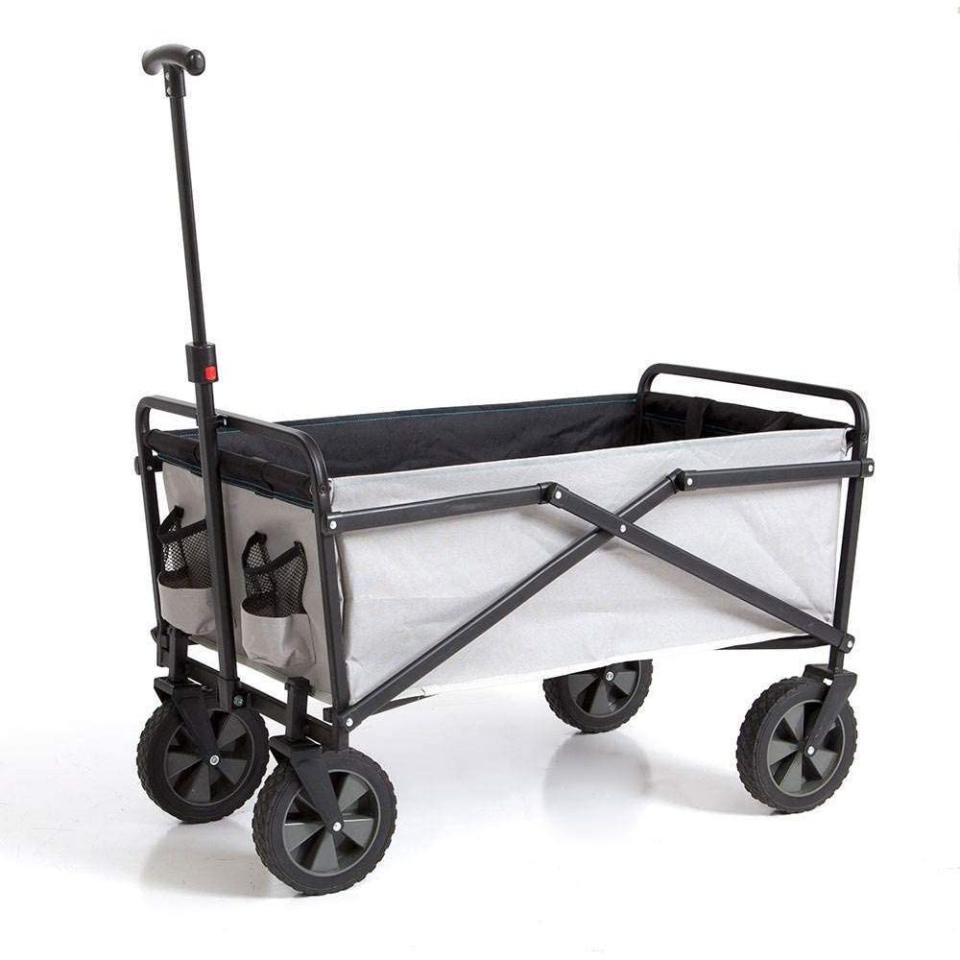 5) Seina Folding Steel Wagon