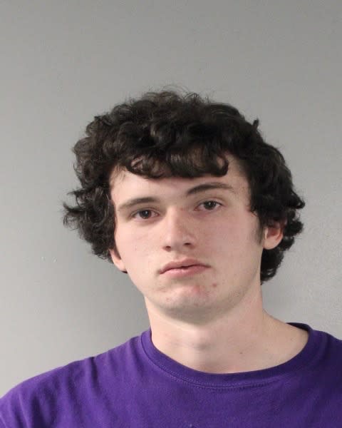 <div class="inline-image__caption"><p>Cole Carini in a 2016 booking photo.</p></div> <div class="inline-image__credit">Tazewel Sheriff’s Department</div>