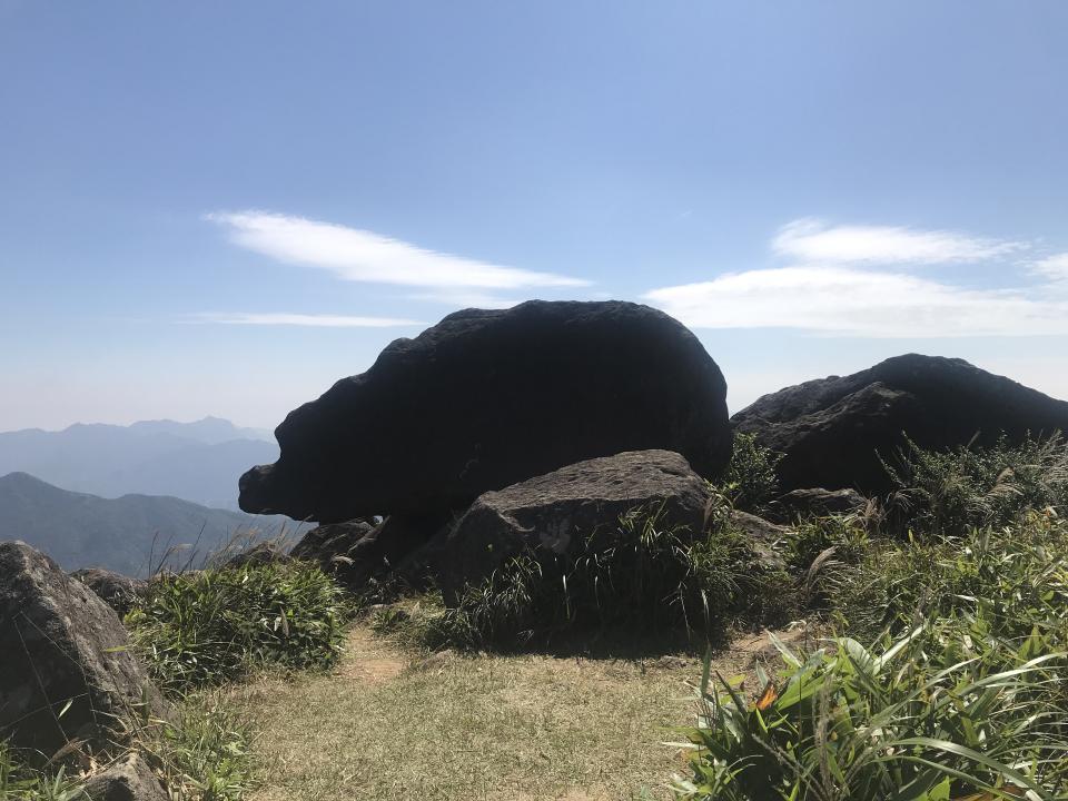 行山路線｜香港第五高山「禾秧山」！石天門靚景＋石林中觀漫山芒草