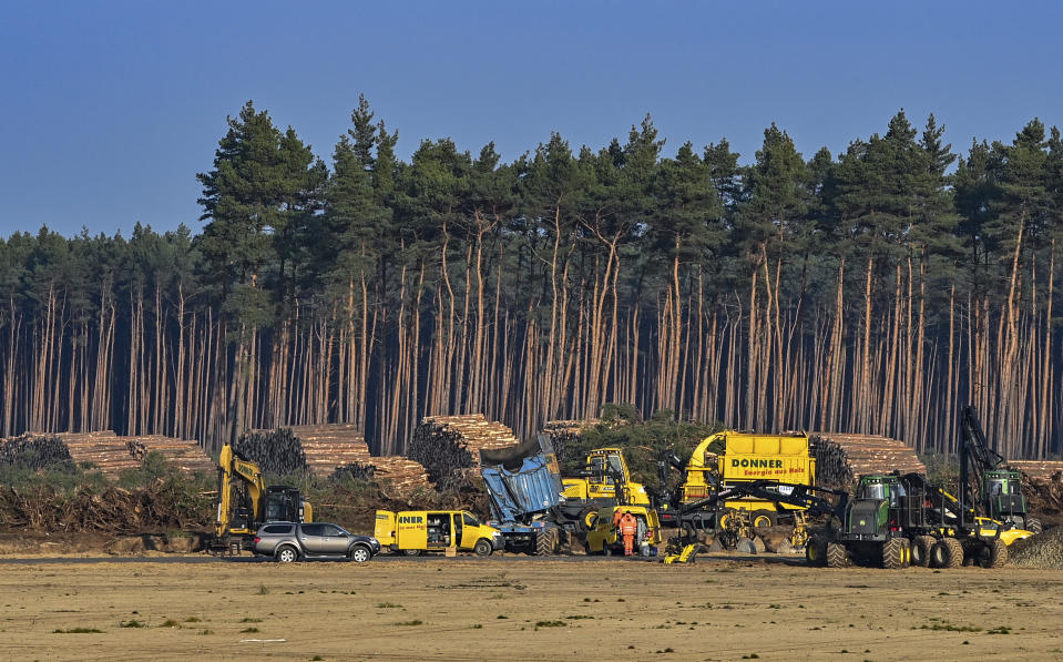 FILE - In this Dec. 8, 2020 file photo, felled trees lie on the construction site of the Tesla Gigafactory in Gruenheide near Berlin, Germany. A German court has ruled that automaker Tesla Inc. has to stop clearing trees on some parts of the site where it’s building its first electric car factory in Europe. (Patrick Pleul/dpa via AP, File)