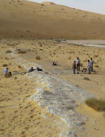 Researchers look over excavations at the Al Wusta site, Saudi Arabia in this undated handout photo obtained by Reuters April 9, 2018. The ancient lake bed (in white) is surrounded by sand dunes of the Nefud Desert. Michael Petraglia/Handout via REUTERS