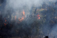 <p>Flames and smoke are seen near a fireman who works in Bormes-les-Mimosas, in the Var department, France, July 26, 2017. (Jean-Paul Pelissier/Reuters) </p>