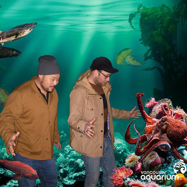 8) Vancouver Aquarium; Vancouver, Canada