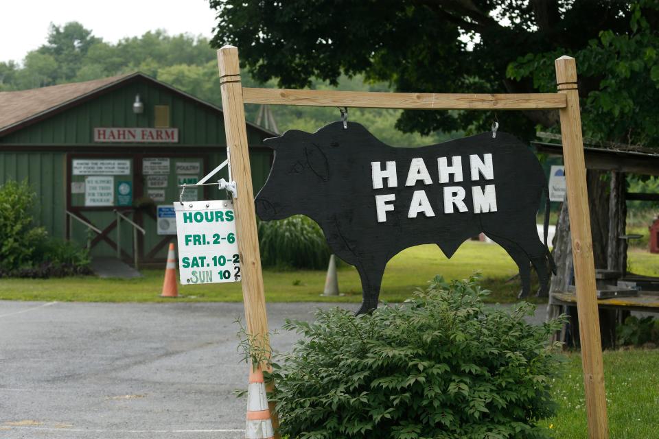 At Hahn Farm in Salt Point, Christmas tree season begins just after Thanksgiving.