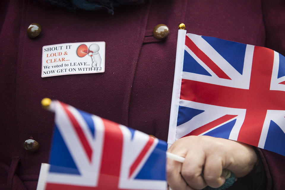 Pro-Brexit Demonstrators