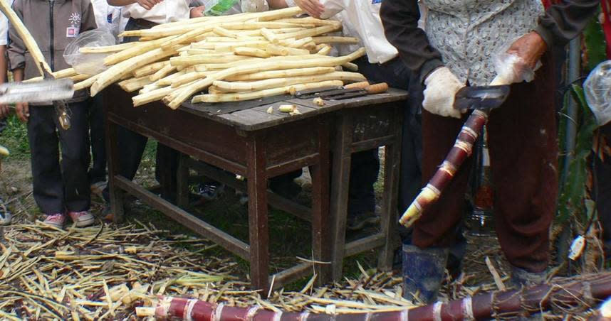 甘蔗等甜蜜多汁的水果深受人們喜愛。（示意圖／報系資料照）