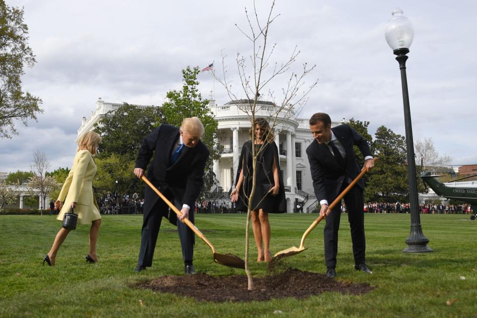 US President Donald Trump and First Lady Melania Trump participate in a tree planting ceremony with French President Emmanuel Macron and his wife Brigitte Macron on the South Lawn of the White House in Washington, DC, on April 23, 2018.

The tree comes from Belleau Woods, where, in June 1918, some 9,000 US Marines died in the Belleau Wood battle during World War I. / AFP PHOTO / JIM WATSONJIM WATSON/AFP/Getty Images ORIG FILE ID: AFP_1497JE