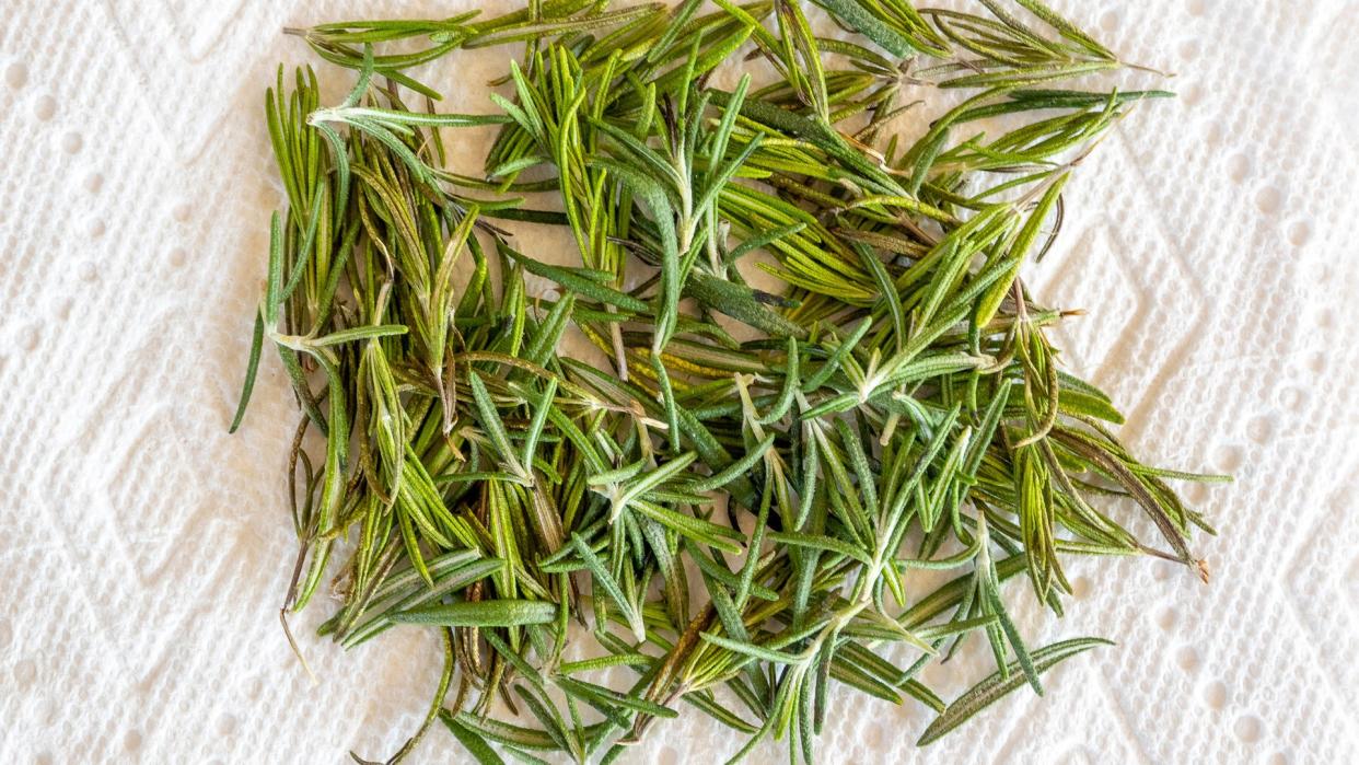 rosemary on damp paper towel