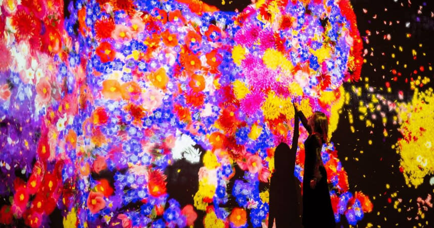 《teamLab 未來遊樂園＆與花共生的動物們》首次在台展出「與花共生的動物們II」。（圖/Klook提供，以下同）