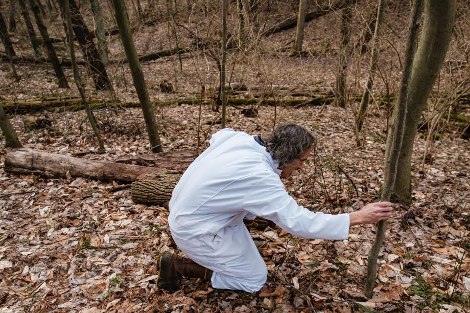 Kip Brady, a science teacher at New Philadelphia High School, looks for ticks at the Norma Johnson Center in Dover Township.