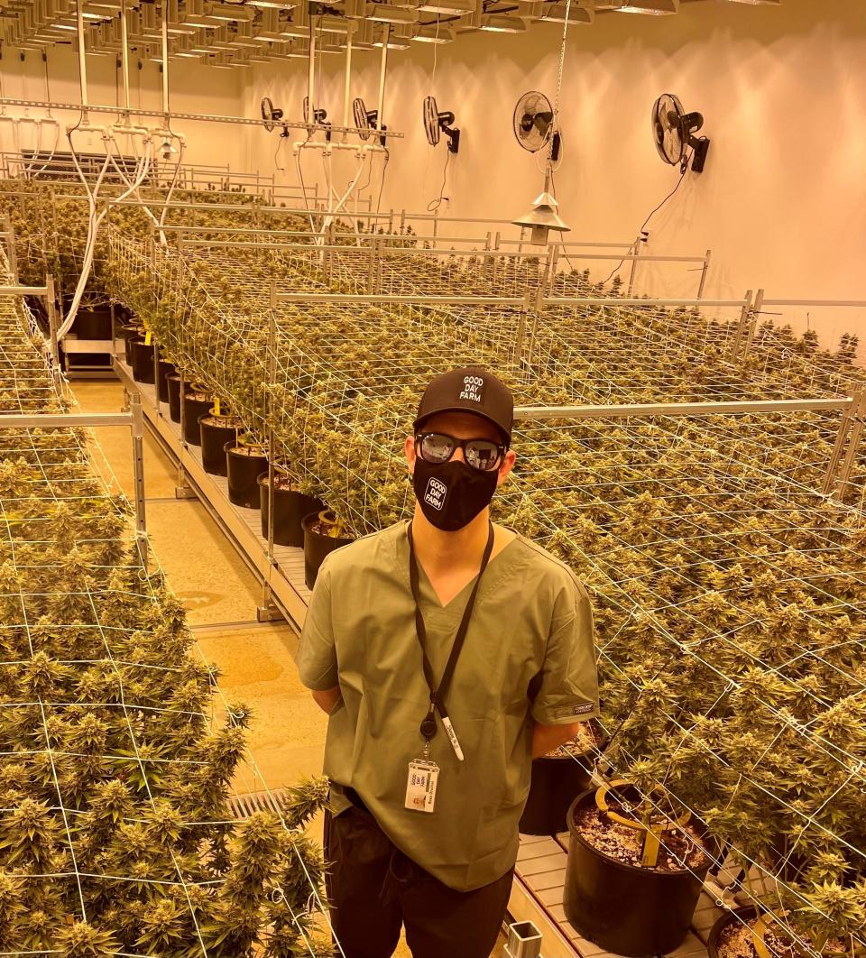 Beau Druilhet is Good Day Farm's director of cultivation at its medical marijuana facility in Ruston.